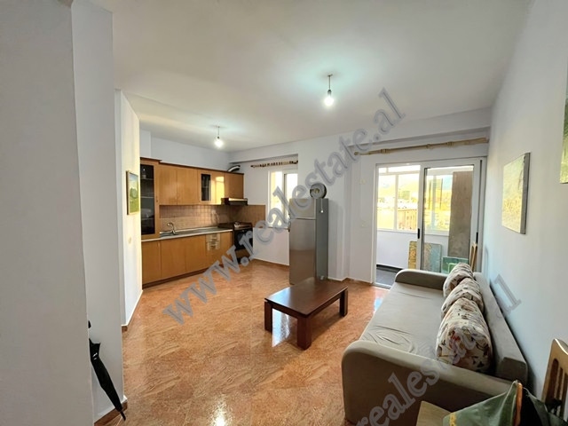 Apartamet 1+1 ne shitje ne zonen e Porcelanit ne Tirane